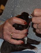 DSC_0494[1]